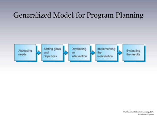 program planning model